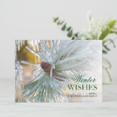 松の葉を氷に包む (スタンド正面)