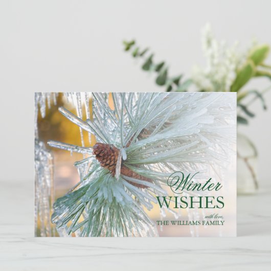 松の葉を氷に包む (スタンド正面)