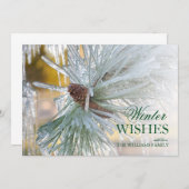 松の葉を氷に包む (正面/裏面)