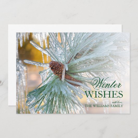 松の葉を氷に包む (正面/裏面)