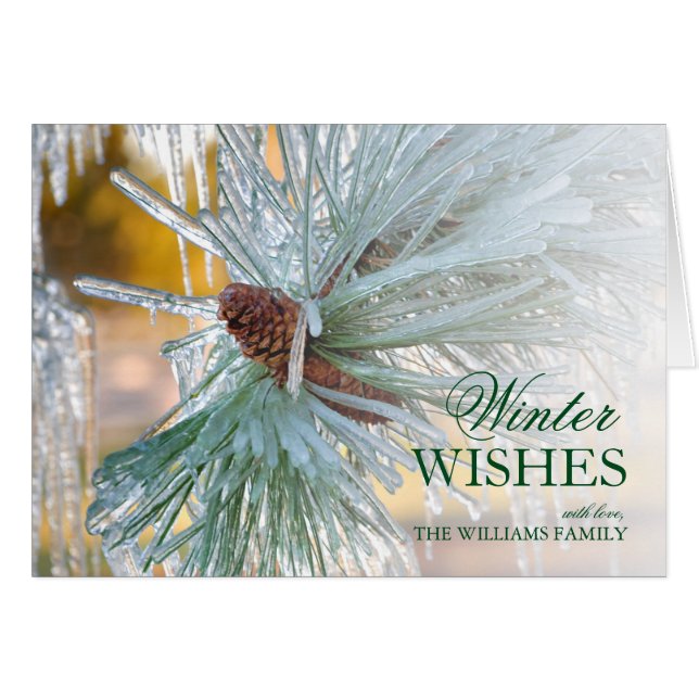 松の葉を氷に包む (正面横)