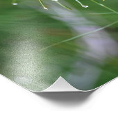 松の針の後の雨の写真プリント フォトプリント            (角)