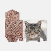 松の針付きボックス フェイバーボックス (折り畳みなし)