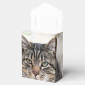 松の針付きボックス フェイバーボックス (オープン)