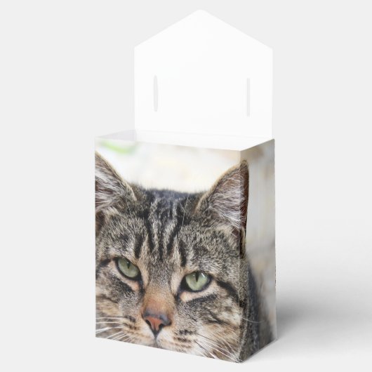 松の針付きボックス フェイバーボックス (オープン)