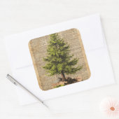 松や杉やクリスマスツリー辞書アート スクエアシール (封筒)