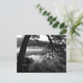 松をダーウェントーターに傾ける ポストカード (スタンド正面)