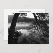 松をダーウェントーターに傾ける ポストカード (正面/裏面)