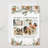 松エレガント葉 | ボタニカルブラッククリスマス シーズンカード (正面)