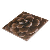 松コーン タイル (側面)