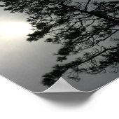 松シルエット曇り太陽の写真 ポスター (角)