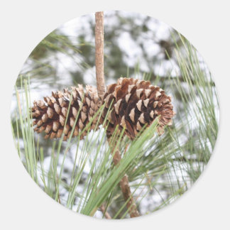 松シール ラウンドシール