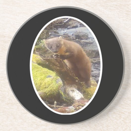 松マーテンオンログサンドストーンコースター コースター (正面)