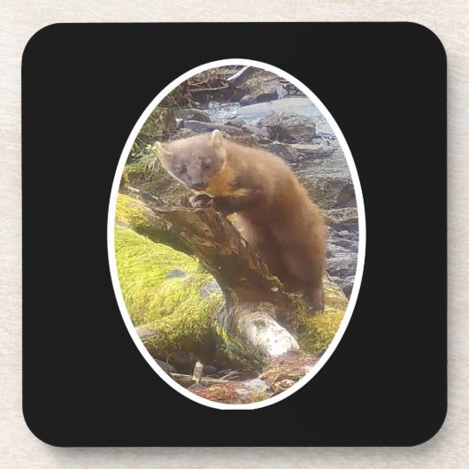 松マーテンオンログ懸命プラスチック6コースターセット コースター (正面)