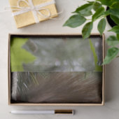 松リスティッシュペーパー 薄葉紙 (ギフト)