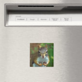 松リス得ル（ナッツ） マグネット (インサイチュ (食洗機))