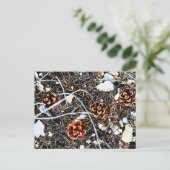 松円錐 ポストカード (スタンド正面)