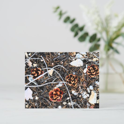 松円錐 ポストカード (スタンド正面)