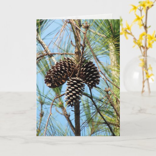 松木カード カード (黄色い花)