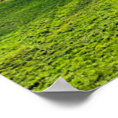 松林の山へ ポスター (角)