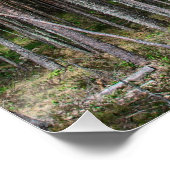 松林の木道 ポスター (コーナー)