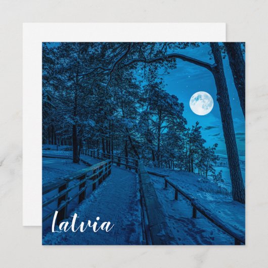 松林を覆った冬の風景 (正面/裏面)