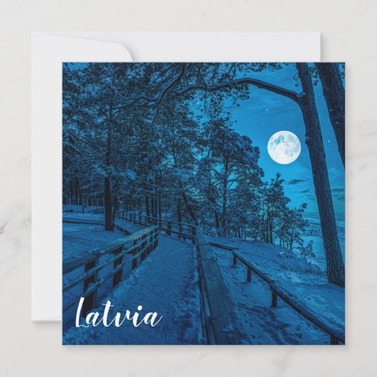 松林を覆った冬の風景 (正面)