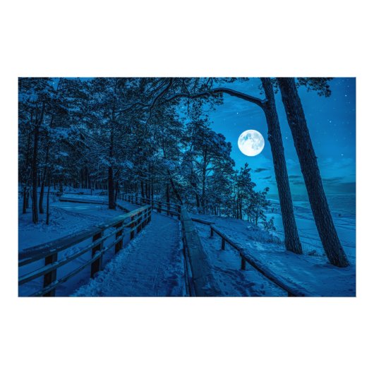 松林を覆った冬の風景 フォトプリント            (正面)