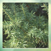 松林 ウィンドウサイン (シート3)