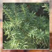 松林 ウィンドウサイン (シート2)