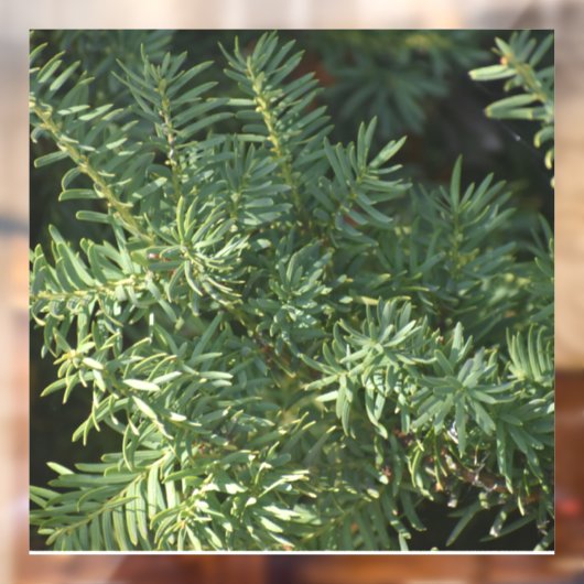 松林 ウィンドウサイン (シート2)