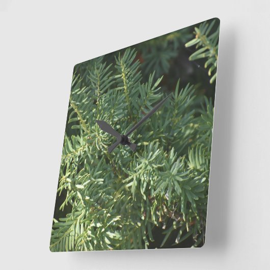 松林 スクエア壁時計 (傾斜)