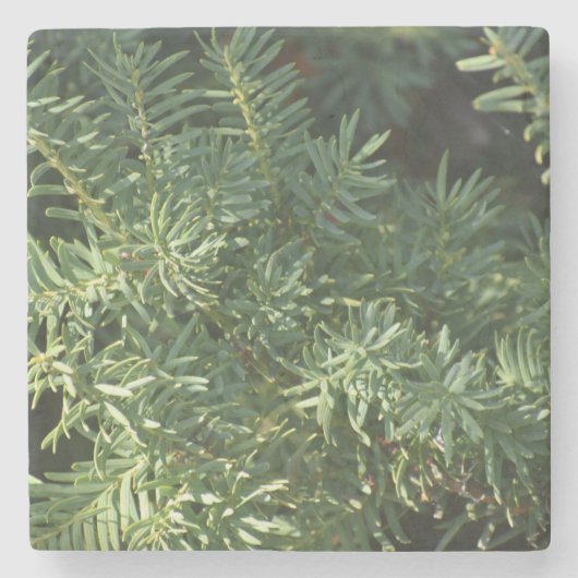 松林 ストーンコースター (正面)