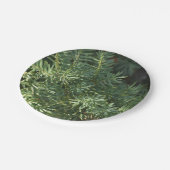 松林 ペーパープレート (アングル)