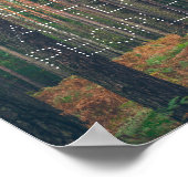 松林 ポスター (角)