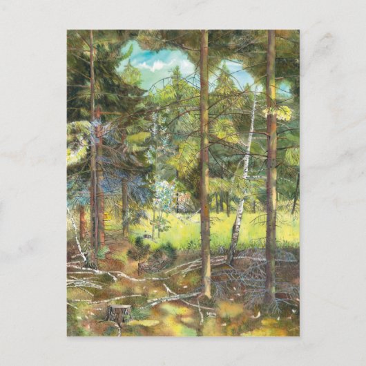 松林 ポストカード (正面)