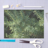 松林 薄葉紙 (クラフト)