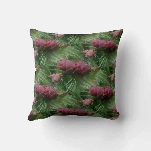 松果と松葉自然 クッション (裏面)