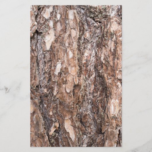 松樹皮 便箋 (正面)