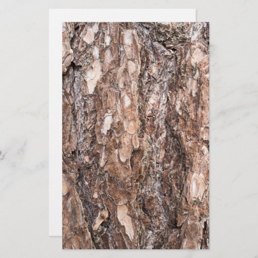 松樹皮 便箋 (正面/裏面)