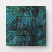 松素朴林の緑常緑樹 フォトプラーク (正面)