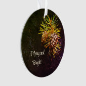 松素朴錐 オーナメント (正面)