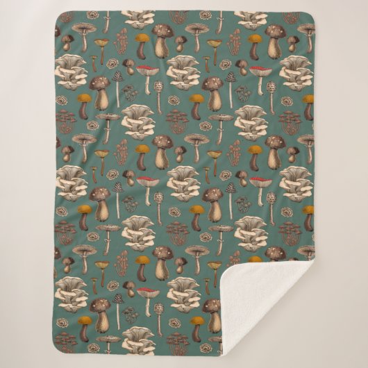 松緑の野生のキノコ シェルパブランケット (正面)