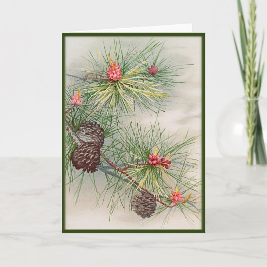 松花クリスマス カード (正面)