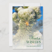 松葉の新雪 (正面)