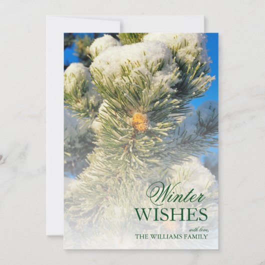 松葉の新雪 (正面)