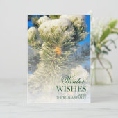 松葉の新雪 (スタンド正面)