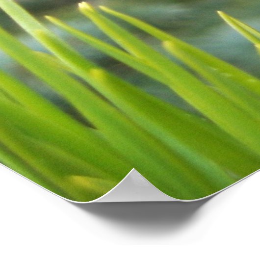 松葉 ポスター (角)