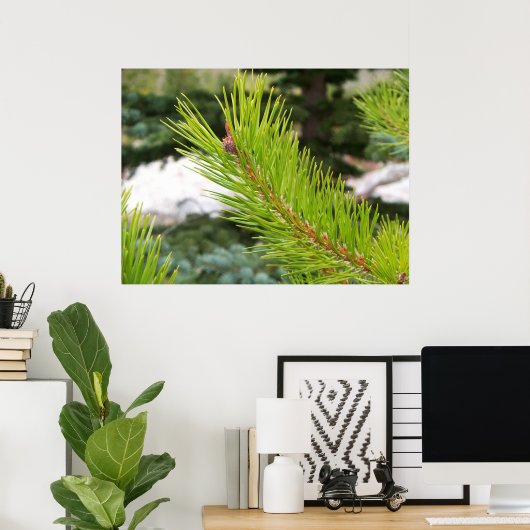 松葉 ポスター (ホームオフィス)