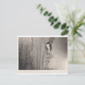 松通り葉書 ポストカード (スタンド正面)